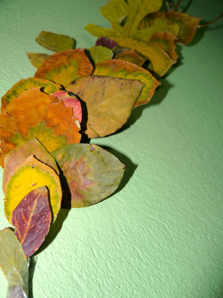 How To Turn Dried Leaves Craft Into The Wall Art - Playtivities
